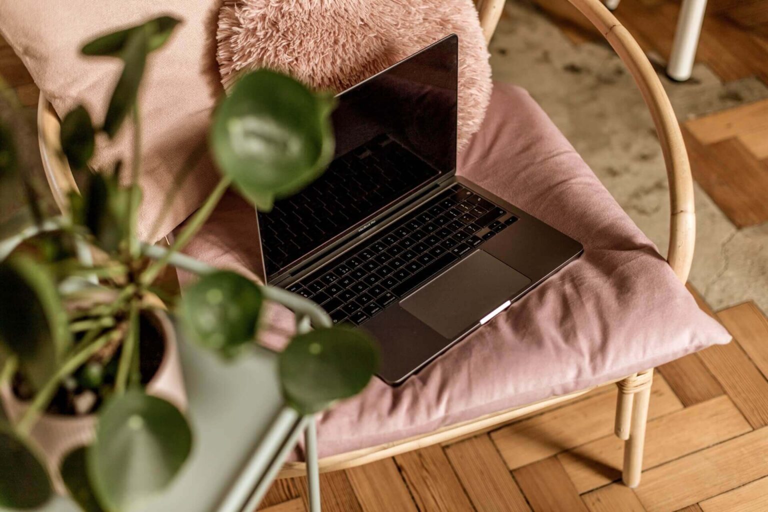 Laptop on a pink cushion inside Studio Cotton