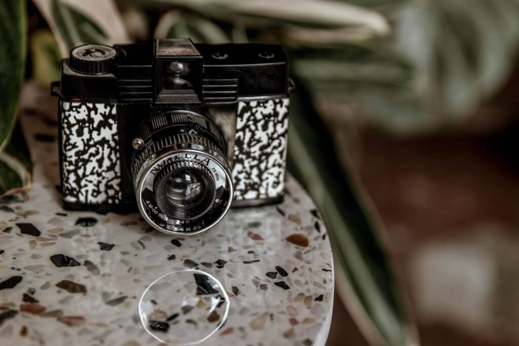 Black and white Novella camera on a terrazzo table, with plants in the background