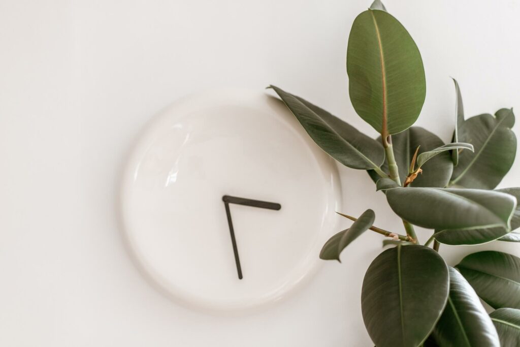 Minimal white clock with black hands, next to a rubber plant